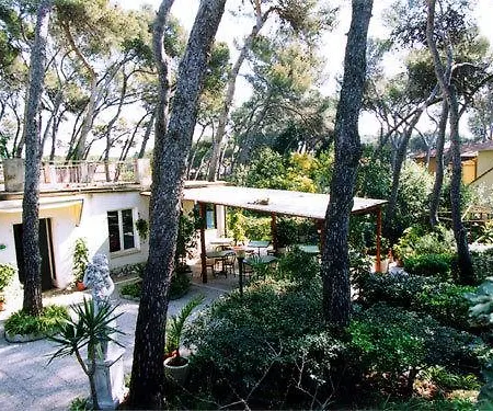 Park Boutique 3*
